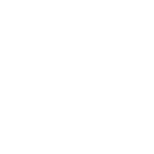 LOGO FOOTER